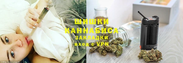 a pvp Бородино