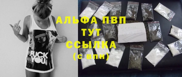 a pvp Бородино