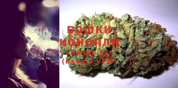 a pvp Бородино