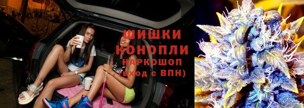 молекула духа Бугульма
