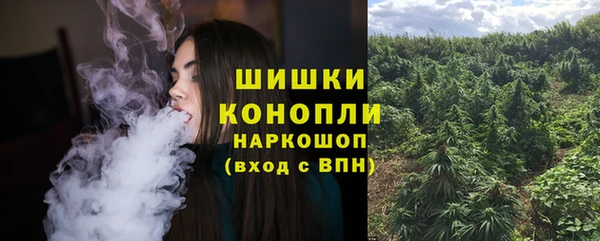 a pvp Бородино