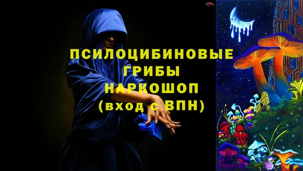 a pvp Бородино