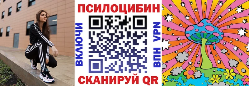 Псилоцибиновые грибы Psilocybine cubensis  Кириллов 