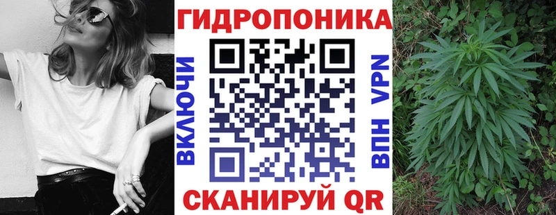 Шишки марихуана Amnesia Кириллов